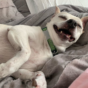 Meet your Posher, Elle jae